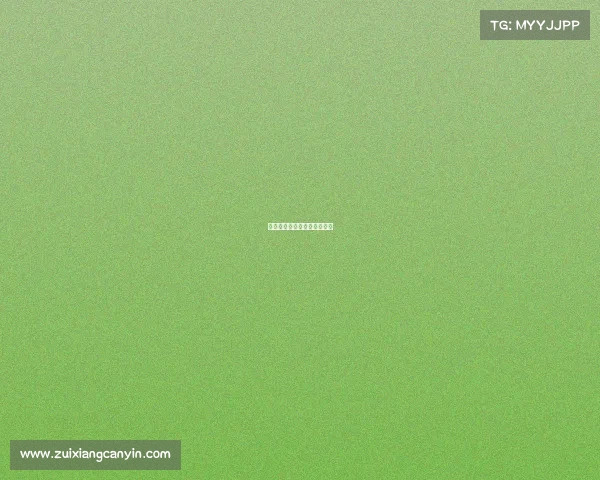 邢台市第十三届运动会开幕式